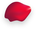 rose-4