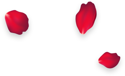rose-5